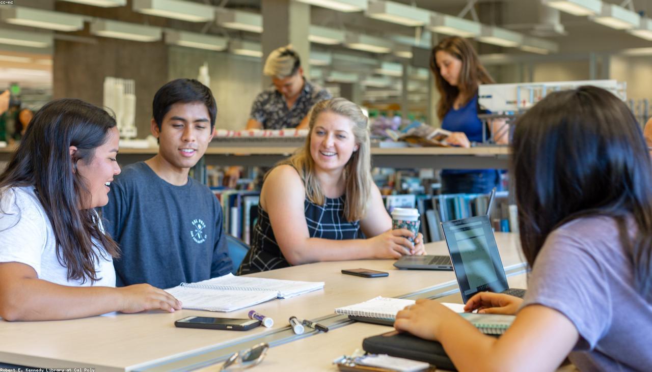 Students studying in a library