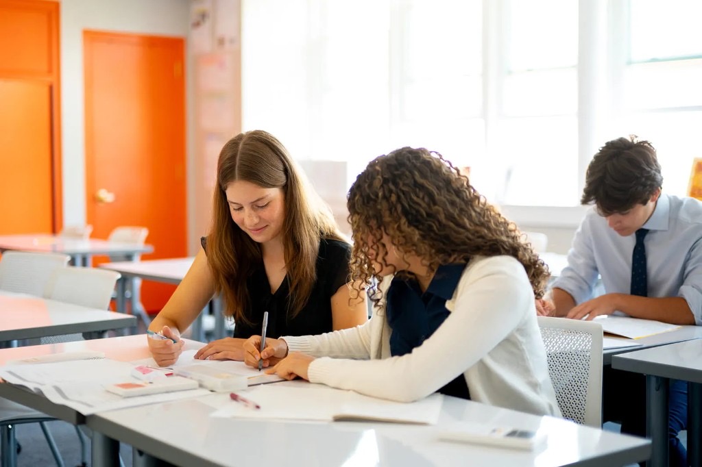 Students working together in a bright classroom