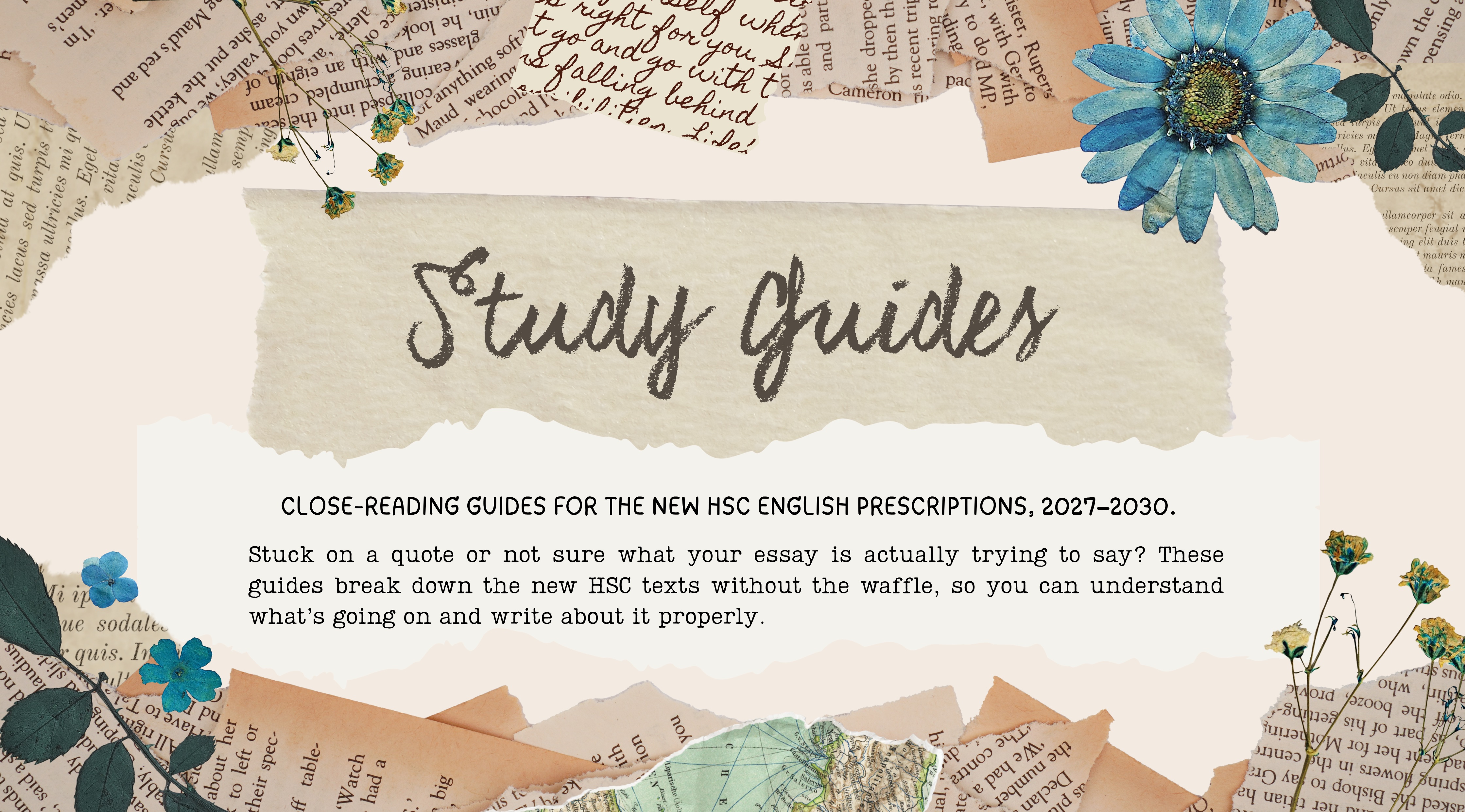 Study Guides — The Reading Fox